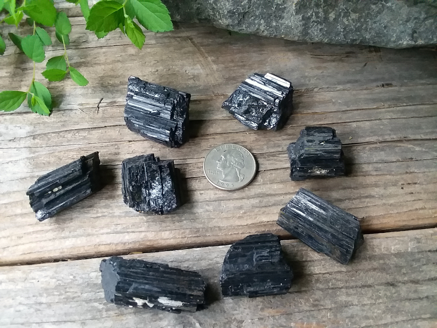 Black Tourmaline rough crystal mineral specimen Small/Medium